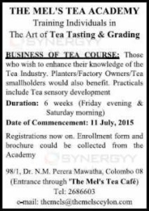 Tea Tasting Course in Colombo