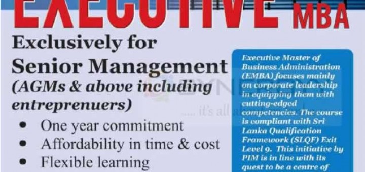 PIM Executive MBA